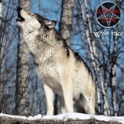 Attirance Livide : Wolf Face